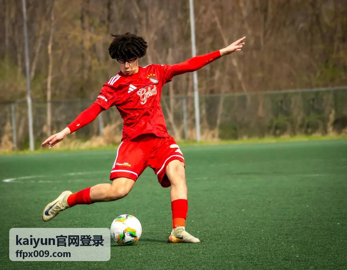 kaiyun官网登录移动端自适应登录