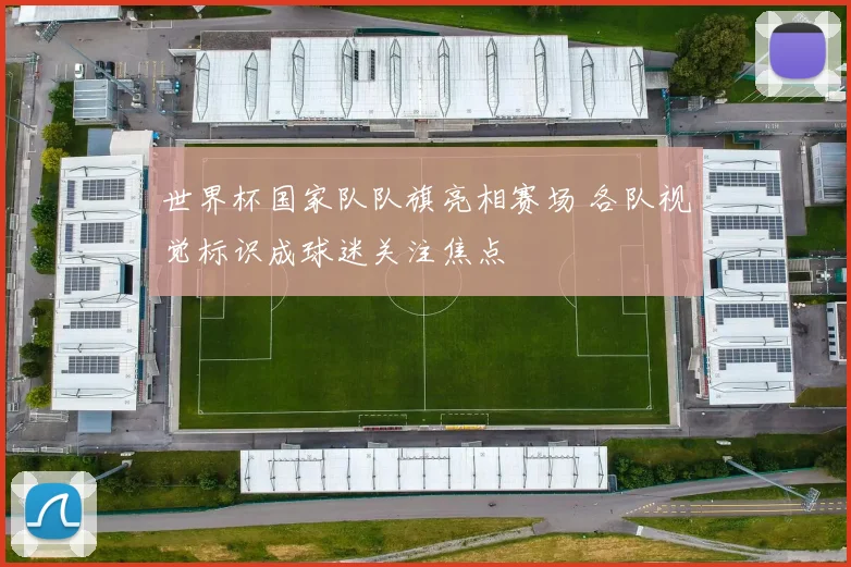 世界杯国家队队旗亮相赛场 各队视觉标识成球迷关注焦点