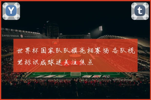世界杯国家队队旗亮相赛场 各队视觉标识成球迷关注焦点