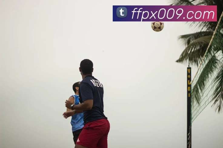 大阳城手机版官方网站发展历程